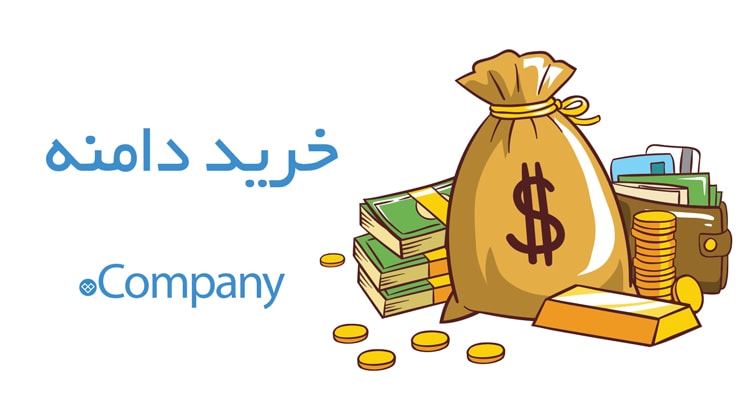 خرید دامنه company