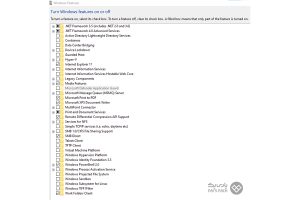 IIS چیست؟ (سیر تا پیاز وب سرور IIS) + نحوه کار - پارس پک