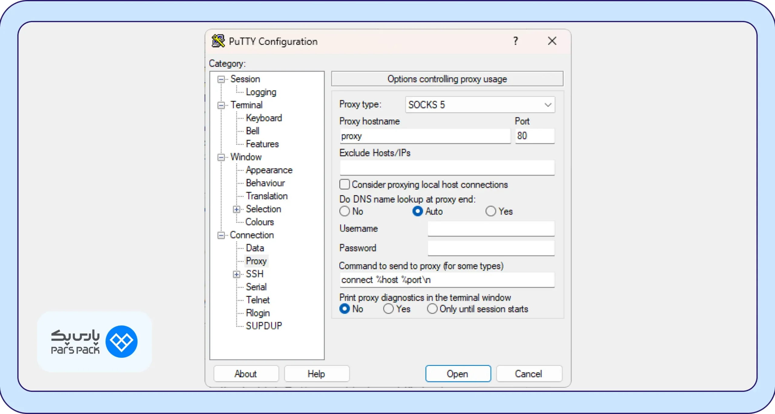 بخش Connection و زیرشاخه Proxy